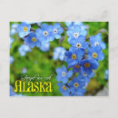 Search for forget postcards Plant