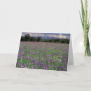 Search for north america cards Meadow