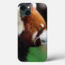 Search for zoo ipad cases Bear