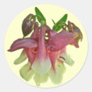 Search for columbine stickers Floral