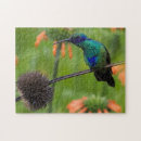 Search for hummingbird puzzles Beautiful