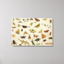 Search for jan canvas prints Van
