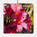 Search for plumeria christmas tree decorations Hawaiian flowers