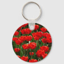 Search for europe rounded key rings Holland
