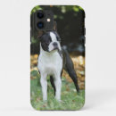 Search for boston terrier iphone cases White