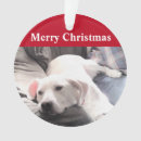 Search for dog lovers christmas tree decorations Labrador retriever