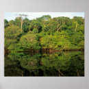 Search for amazonas posters Amazonian