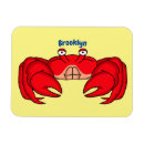 Search for crustacean magnets Ocean