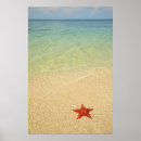 Search for cuba posters Caribbean sea