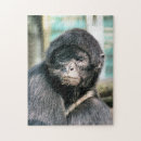 Search for monkey puzzles Cute