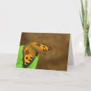 Search for peacock butterfly cards Insect