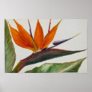 Search for paradise posters Floral