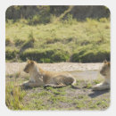 Search for full length stickers Africa