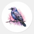 Search for black raven birds stickers Halloween