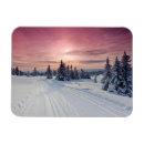 Search for snow magnets Pine tree