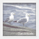 Search for seaside stickers Ocean