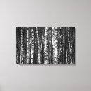 Search for birch tree canvas prints Bark