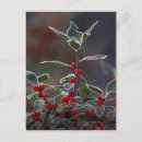 Search for new england postcards Usa