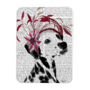Search for fascination magnets Contemporary