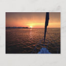 Search for brant postcards Sunset