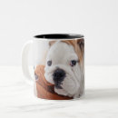 Search for english bull dog mugs Puppy