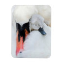 Search for muted magnets Bird