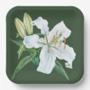 Search for funeral paper plates Remembrance