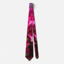 Search for apple tree ties Botanical