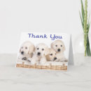 Search for labrador thank you cards Retriever