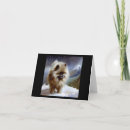 Search for keeshond cards Puppy