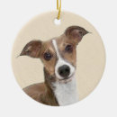 Search for italian greyhound christmas tree decorations Dog