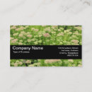 Search for ecommerce business cards Modern