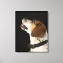Search for beagle dog canvas prints Animal