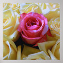 Search for one of a kind posters Rose