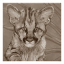 Search for cougar art Big cats