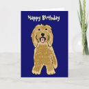 Search for bearded collie Animals