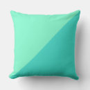 Search for aquamarine cushions Background