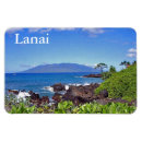 Search for lanai Maui