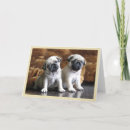Search for attentiveness cards Cute