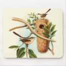 Search for perched mousepads Tree branch