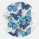 Search for composite stickers Butterfly