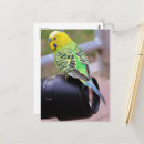 Search for len postcards Green