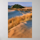 Search for dune posters Grass