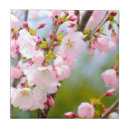Search for cherry blossom gifts Japanese cherry tree