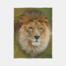 Search for africa blankets Wildlife