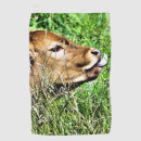Search for cow golf equipment Calf