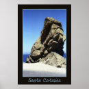 Search for catalina posters Santa catalina island