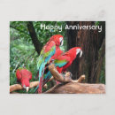 Search for red parrot cards Happy
