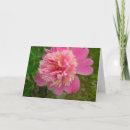 Search for peony birthday cards Pink