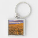 Search for wheat field key rings Harvest
